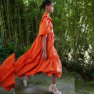 Zara Embroidered Maxi Dress